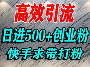 怎么打创业粉？快手求带视角精准引流创业粉，宝妈、学生群体日进500+精准流量-就爱副业网