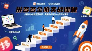 拼多多全阶实战课程，从新手小白到运营高手，海量实战玩法+全年实时更新【2025年10月更新】-就爱副业网