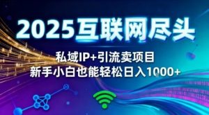 2025网创尽头王炸项目！私域IP+精准引流，新手小白在家躺賺日入1k，零经验也能上手【揭秘】-就爱副业网