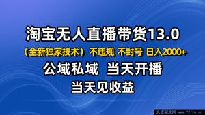 淘宝无人工直播新玩法，公域私域融合技巧，合规不封店，抢占下半年黄金旺季，轻松日赚超2000-就爱副业网