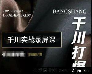 泽泽子-千川打爆直播课2025年11月(价值2980元)_-就爱副业网