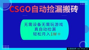 CSGO零基础速学自动捡漏搬砖技巧，上手即有成效，完全不懂游戏也能快速掌握稳落地-就爱副业网