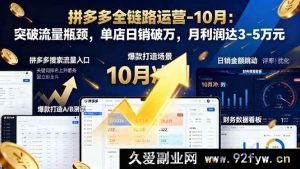（16462期）拼多多全链路运营 10 月秘籍：打破流量困局，实现单店日销破万与月赚 3 至 5 万-就爱副业网