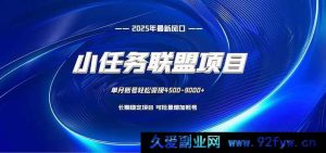 （16521期）小任务联盟：十分钟轻松搞，电脑稳赚钱-就爱副业网