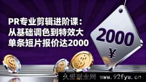 16381期PR剪辑提升课：从基础调色迈向特效大片，单条短片报价两千不是梦-就爱副业网