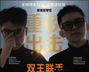 王校长标哥电商-11月12日拼多多无限活动流_-就爱副业网