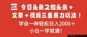 16556期今日头条微头条、文章和视频超牛玩法，掌握其一轻松日赚2000＋-就爱副业网