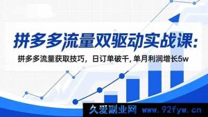 （16563期）拼多多流量双驱动秘籍课：掌握流量获取绝招，日销千单，月赚5万不是梦-就爱副业网