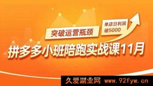 16654期拼多多小班实战陪跑课11月，构建强付费矩阵、巧用原价活动与暗券引流，打破运营困局，单店日赚超5000-就爱副业网