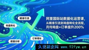 （16660期）11月阿里国际站数据化运营课：精准引流到询盘转化全流程，月均询盘与订单飙升200%-就爱副业网