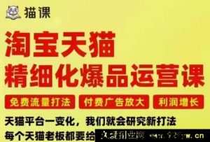 猫课子幽-淘宝天猫精细化爆品运营9月12-14杭州线下课（价值5980元）_-就爱副业网