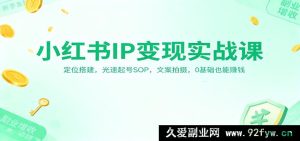 小红书变现实操秘籍：精准定位与起号流程，文案拍摄全攻略，零基础创富指南-就爱副业网