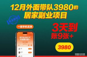 12月外面带队3980的居家副业项目,一部手机实测3天到账9张+,首发教程【揭秘】-就爱副业网