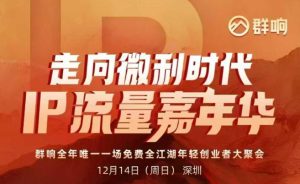 2025ip嘉年华万人12月14深圳线下课，走向微利时代，IP流量嘉年华，实操性极强的商业干货课-就爱副业网