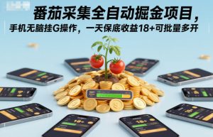 番茄采集全自动掘金项目，手机无脑挂G操作，一天保底收益18+可批量多开【揭秘】-就爱副业网