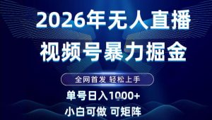 2026最新视频号无人直播掘金，全网首发，小白可以玩，长期稳定日入1k+【揭秘】-就爱副业网