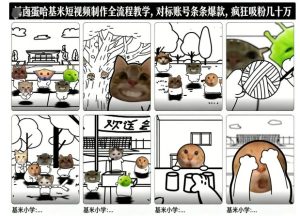 卤蛋哈基米短视频制作全流程教学，条条爆款，疯狂吸粉几十万-就爱副业网