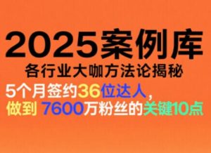 2025案例库，收录各行业大咖的方法论，各行业大咖方法论揭秘-就爱副业网