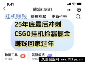 (16735期)12月收官月,靠CSGO游戏挂机捡漏,单部手机每日稳赚500+-就爱副业网