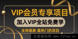 （16763期）无门槛玩转多多虚拟类目：机器人助力发货客服，轻松运营，月赚1 - 5W实操攻略-就爱副业网