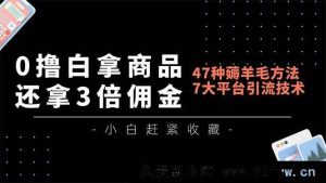 （16780期）零成本拿商品还赚3倍佣金，47种羊毛攻略，7大平台引流秘籍月入破万-就爱副业网