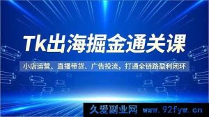 (16820期)Tk出海盈利秘籍,小店、直播、投流全链路运营课-就爱副业网