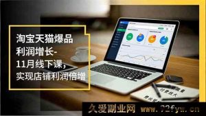 (16824期)11月线下课:淘宝天猫店铺利润飙升秘籍,免费付费流量双管齐下-就爱副业网