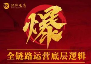 波仔电商-拼多多年卡会员25年12月18更新88节_-就爱副业网