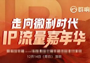 群响陈晶天诺老吴-2025ip嘉年华万人12月14日深圳线下课14节完整_-就爱副业网