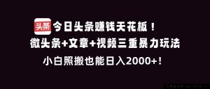 (16888期)抖音新赛道掘金:短视频带货+直播种草+图文引流,新手轻松日入3000+-就爱副业网
