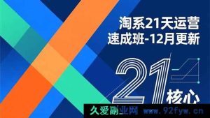 (16903期)淘系21天爆单运营特训营:12月升级,速学核心盈利技能-就爱副业网