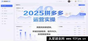 2025拼多多超实用运营实操:案例剖析逻辑破流量困局提ROI促销量飙升(全新版)-就爱副业网