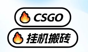 真全网独家CSGO挂G，最新玩法,单日捡漏1K+，不用电脑，不用打游戏【揭秘】-就爱副业网