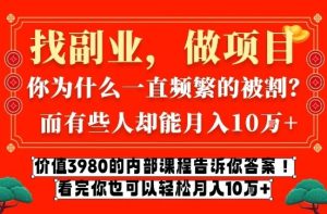 价值3980的网创内部课程，告诉你互联网创业月入10个W的秘密【揭秘】-就爱副业网