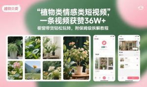 植物类情感类短视频，一条视频获赞36W+，橱窗带货轻松玩转，附保姆级拆解教程-就爱副业网