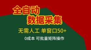 全自动数据采集，无需人工，单窗口50+，0成本可批量矩阵操作【揭秘】-就爱副业网