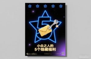 付费文章：小众之人的5个隐藏福利-就爱副业网