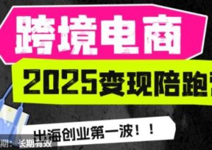 职场B计划阿耀-打爆TiktoK-2025变现陪跑营(价值9800元)_-就爱副业网