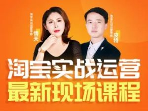 推易电商-淘宝实战2025年12月3日-5日线下课完整版34节(价值7580元)_-就爱副业网