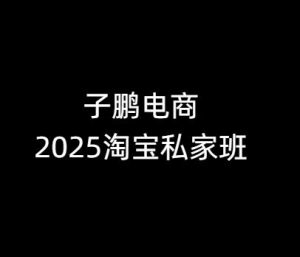 子鹏讲电商-淘宝私家班26年1月(价值4980元)_-就爱副业网