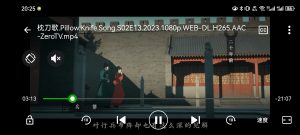 XPlayer 解锁会员去广告版最新版 HD硬解高清4K 安卓手机电视NAS看本地视频必备-就爱副业网