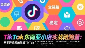（17037期）TikTok东南亚小店爆单落地营：从0搭建到稳定盈利的全链路实操课-就爱副业网