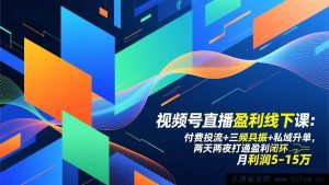 (17116期)视频号直播赚钱线下实操课:精准投流+内容共振+私域变现,两天两夜跑通变现全流程,月赚5-15万-就爱副业网