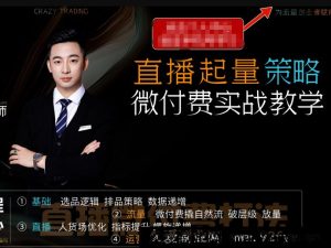 半野老师-直播带货起量与微付费必学课视频号2026年1月(价值980元)_-就爱副业网