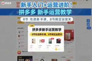 新手入门+运营进阶！拼多多新手运营教学，8节吃透新手课，8节搞定运营关-就爱副业网