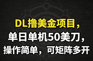 DL撸美金项目,单日单机50美刀,操作简单,可矩阵多开-就爱副业网