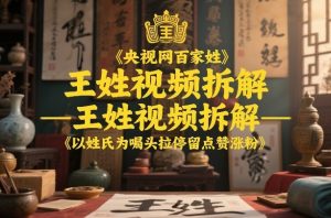 央视网百家姓–王姓视频拆解,以姓氏为噱头拉停留点赞涨粉-就爱副业网