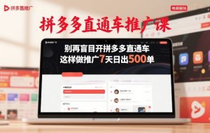 拼多多直通车推广课,别再盲目开拼多多直通车,这样做推广7天日出500单-就爱副业网