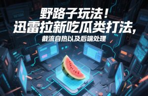 野路子玩法！迅雷拉新吃瓜类打法，截流自热以及后端处理-就爱副业网