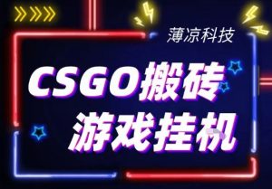 CSGO游戏挂G游戏搬砖最新升级,普通小白一部手机可日入3张+当天见结果,支持验证【揭秘】-就爱副业网